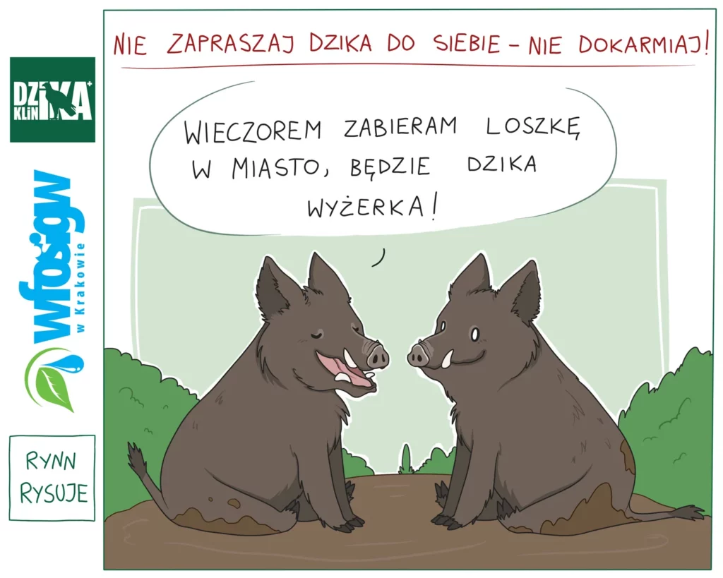resztki jedzenia dziki