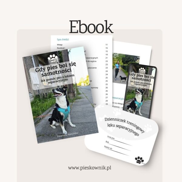 gdy pies boi się samotności ebook lęk separacyjny gdy pies boi się samotności ebook lęk separacyjny