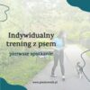 szkolenie indywidualne z trenerem psów szkolenie indywidualne z trenerem psów