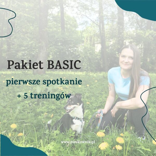 pakiet treningów z trenerem psów kraków