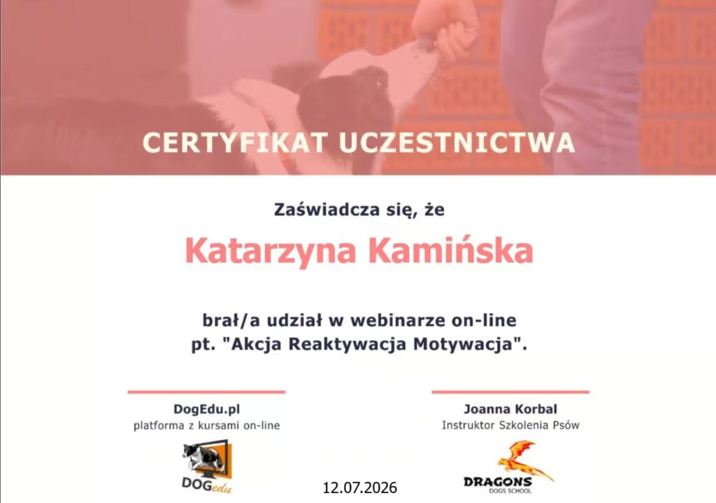motywacja pokarmowa pieskownik dogedu kamińska